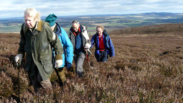 Four people walking between rolling heather