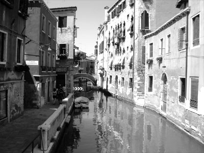 عکس از پریسا عرفانی 