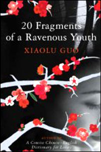 郭小橹小说封面