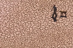 Spain is suffering its worst drought for sixty years
