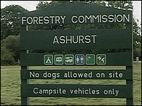 Ashurst campsite