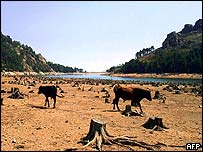 उड़ीसा सूखे का सामना करता है