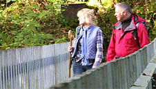 Nant Gwernol footbridge