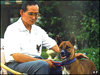Tayland Kralı'nın köpeği
