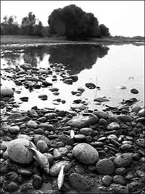 عکس از مهری