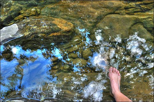 Transparencia (Foto: Raquel Pérez)