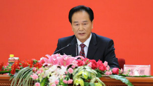 蔡名照（新华社图片）