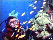 Velký bariérový útes