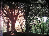 (C) Sophie Lascelles - artist Danielle Arnaud 