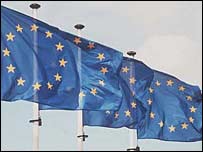 Avrupa Birliği bayrakları
