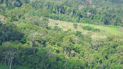 Aerial shot of deforestation