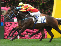 Two horses neck and neck in a race