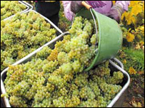 دشنو مميزو جوړول