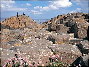 Giant's Causeway c/o Northern Ireland Tourist Board