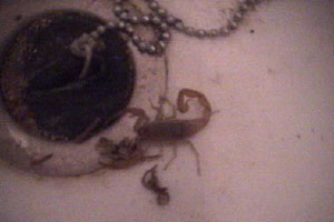 Mike has a scary experience