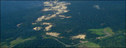 Amazonía peruana devstada por la minería