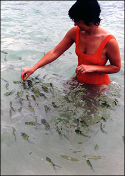 Woman feeding fish.