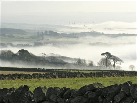 Mist over fields near Corbridge. Photo: Brian Watson