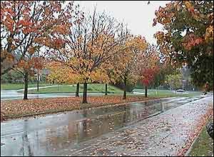 عکس از بهمن کم بخش