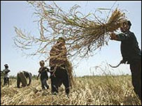 परेशान किसान