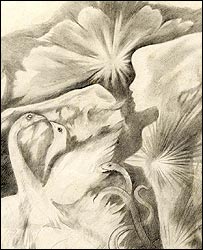 One Peace One Love One Chance to Share Our World