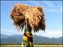 مغربی بنگال