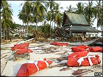 اجساد در فی فی از جزاير تايلند