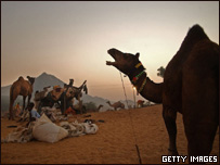 Feira de camelos em Pushkar
