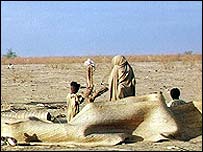 بيابانزائی