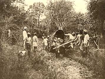 The incredible rigours of jungle travel in 19th Century Ceylon (now Sri Lanka)