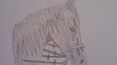 Horse drawing...