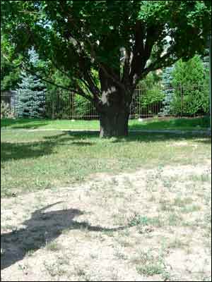 عکس از فريد مقامی