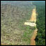 Amazônia