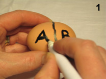 Investigation 1 - Step 1