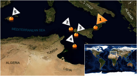 Dive map - Mediterranean Sea - Site 1