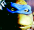 Ninja Turtle