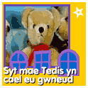 Sut mae Tedis yn cael eu gwneud