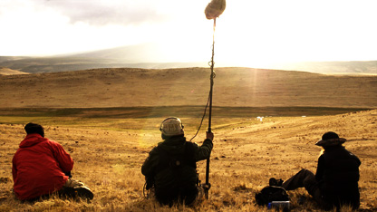 The Amazon team at work