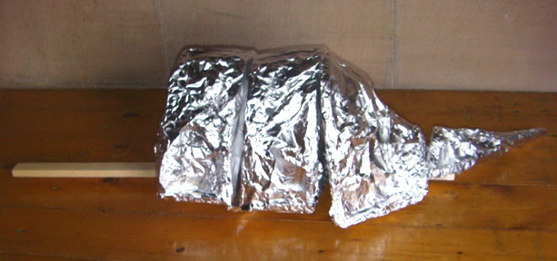 Armadillo being out together