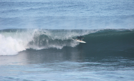 SJohnny Fryer (shot 4). Pic Mark Sep 06