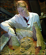 Clearing the soil from the skeleton