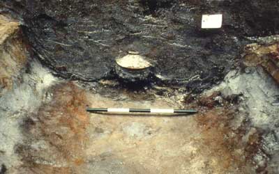 excavations of cremation burial