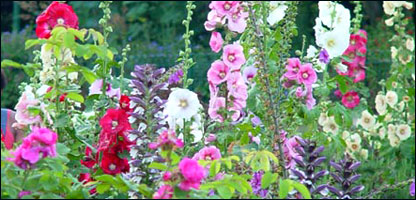 قطره اوسوتره