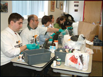 ددرملوقانون