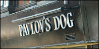 Pavlov's Dog