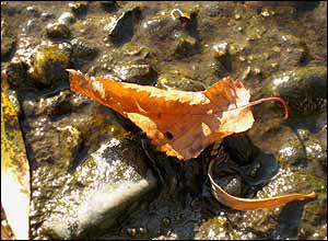 عکس از فاطمه طباطبائی