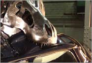 A steel replica T. rex head takes a bite out of a small car.