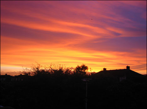 Alan and Ann Millership's view over Weston