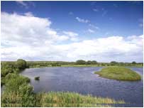 Old Moor c/o RSPB Image and Andy Hay