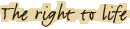 The right to life